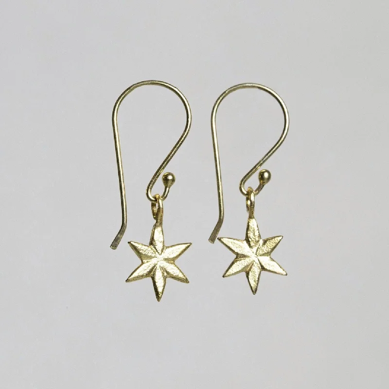 ladies earrings stores-Sideway Star Drop Earrings